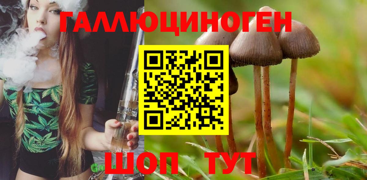 Галлюциногенные грибы Psilocybine cubensis  купить закладку  Люберцы  Вход с VPN  Галлюциногенные грибы Psilocybe 